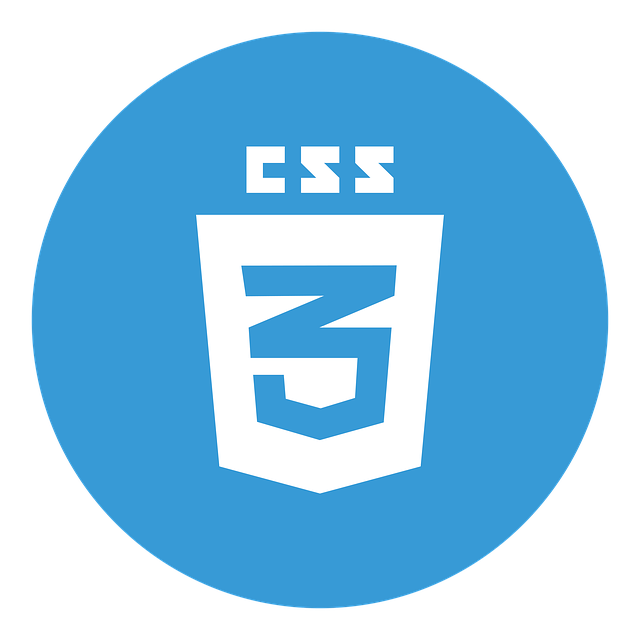 CSS3 logó